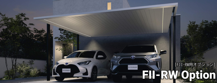FII-RW用オプション